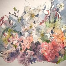 Eva Bender  Dogwood (Seattle)  watercolor 12.75 x 19.75 inches