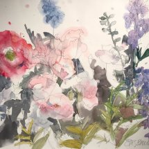 Eva Bender  Poppies I (Seattle)  watercolor 14.5 x 19.75 inches