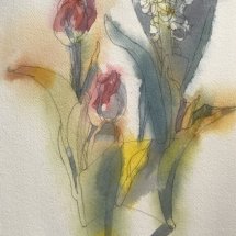 Eva Bender  Tulips  watercolor 12 x 9 inches