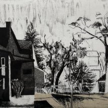 Celia Reisman Lawn etching with chine colle 7 x 10 inches