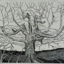 14 Gene Shaw Maple Tree on Quentin Road #3 woodcut 26.5 x 41.75 inches