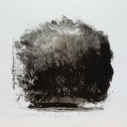 Wissler "Mystery" monotype on mylar 4.5 x 4.5 inches