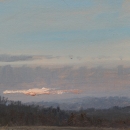 Early Cold
