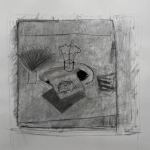 Dee Jenkins Porcupine Chives Cake and Black Radish pencil and charcoal on paper 20 x 21.5 inches