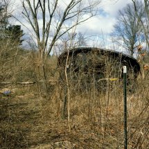 Richard K Kent from the series Patch of Woods Wind Tossed Trampoline Edge of Landis Run _ the Woods Archival Pigment Print 16 x 20 inches Edition of 15