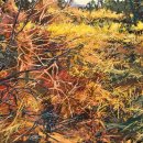 Robert Bitts Autumn Grassland acrylic on panel 20 x 32 inches