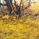 Robert Bitts Golden Thicket acrylic on panel 20 x 32 inches