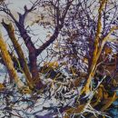 Robert Bitts Small Stream Thicket acrylic on canvas 24 x 48 inches