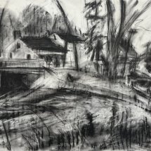 Ruth Bernard Maple Grove charcoal drawing 17.5 x 23 inches