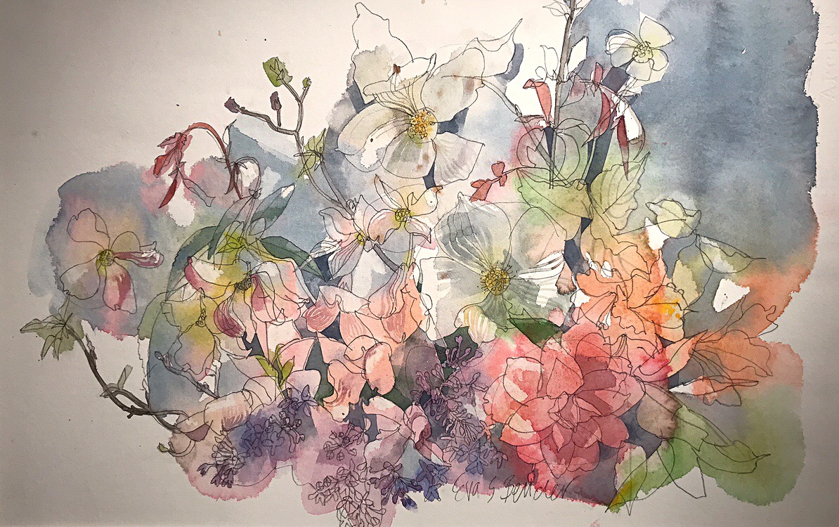 Eva Bender Dogwood (Seattle) watercolor 12.75 x 19.75 inches